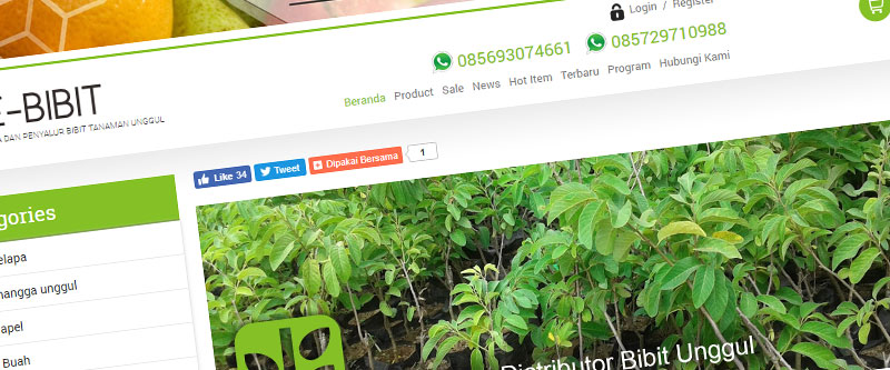 Jasa Pembuatan Website Murah Di Jogja